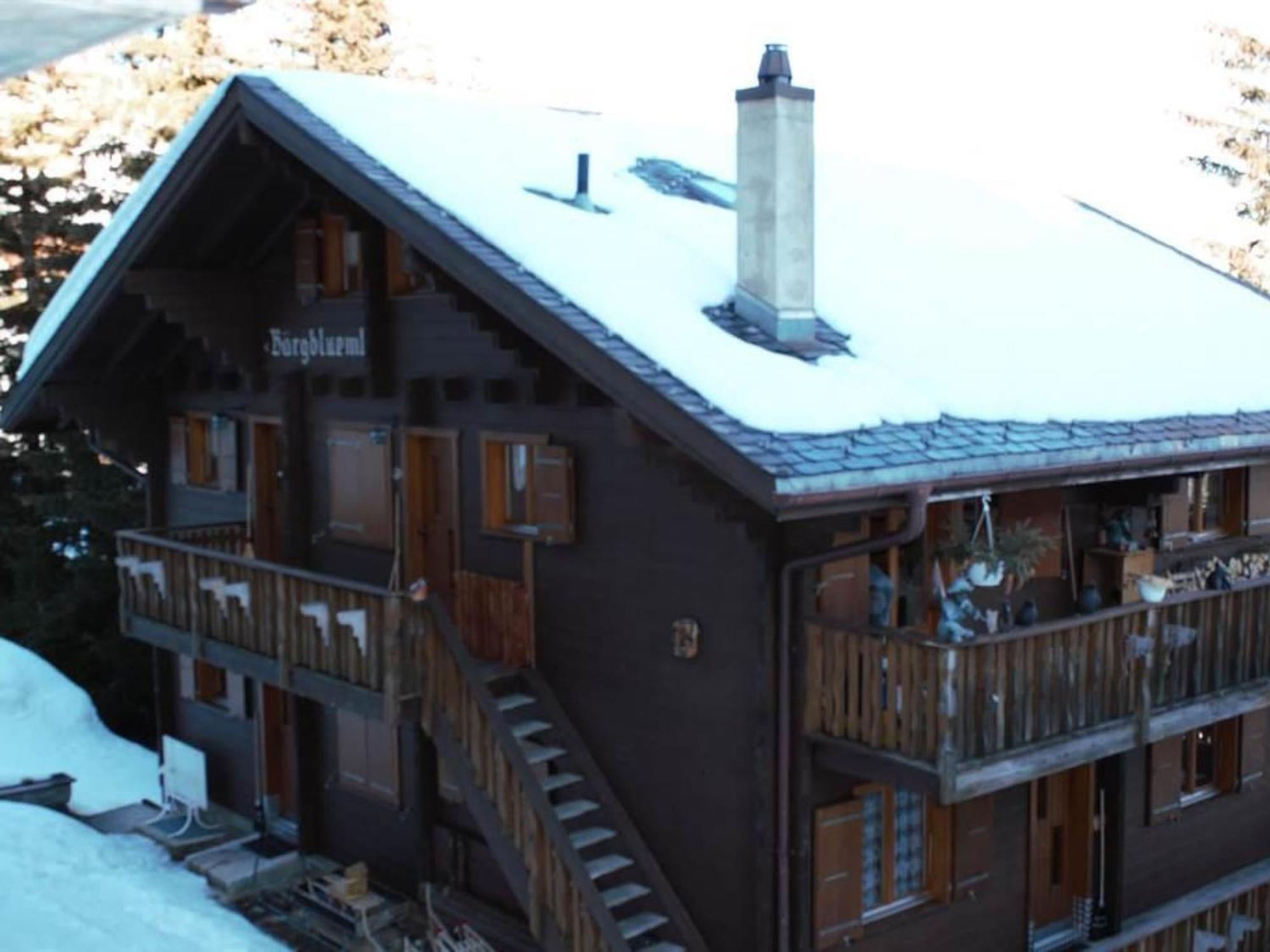 Apartment Baergblueemli - 1- Stock Ost By Interhome Bettmeralp Kültér fotó